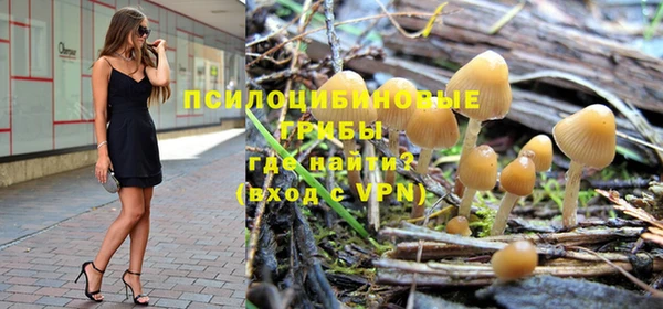 винт Верхний Тагил