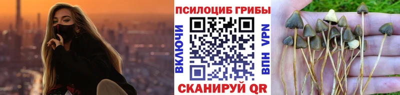 Псилоцибиновые грибы GOLDEN TEACHER Неман