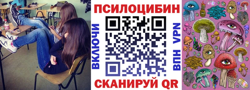 Псилоцибиновые грибы Psilocybe  Неман 