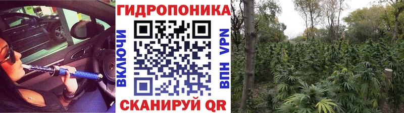 цены наркотик  Неман  Канабис тримм 